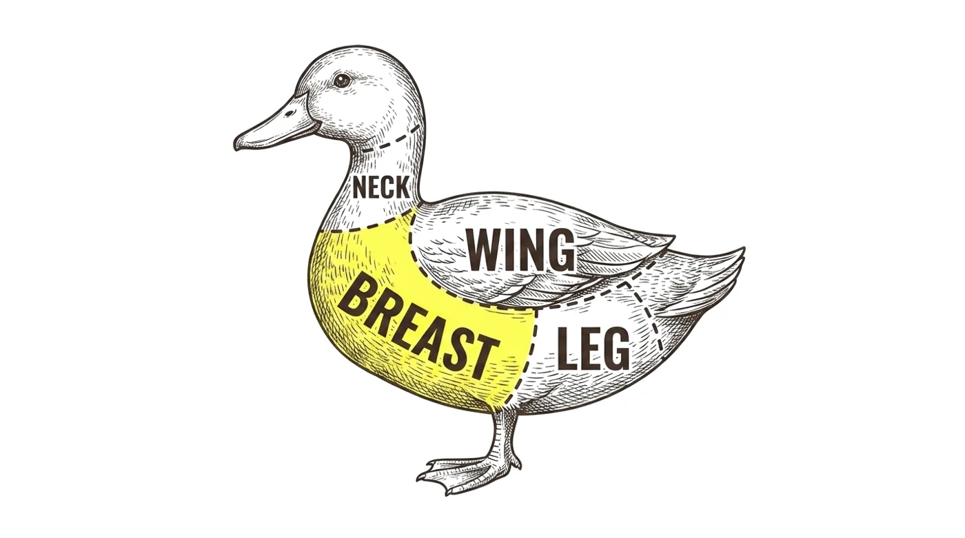 Duck cut chart with the Breast highlighted