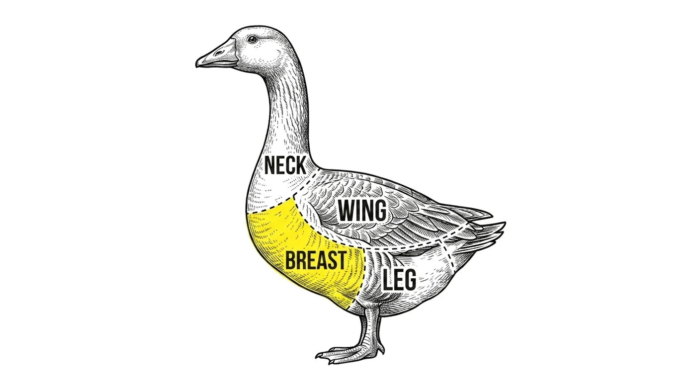 Goose cut chart with the Breast highlighted