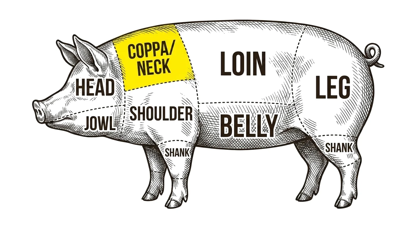Pork cut chart with the Collar (coppa / neck) highlighted